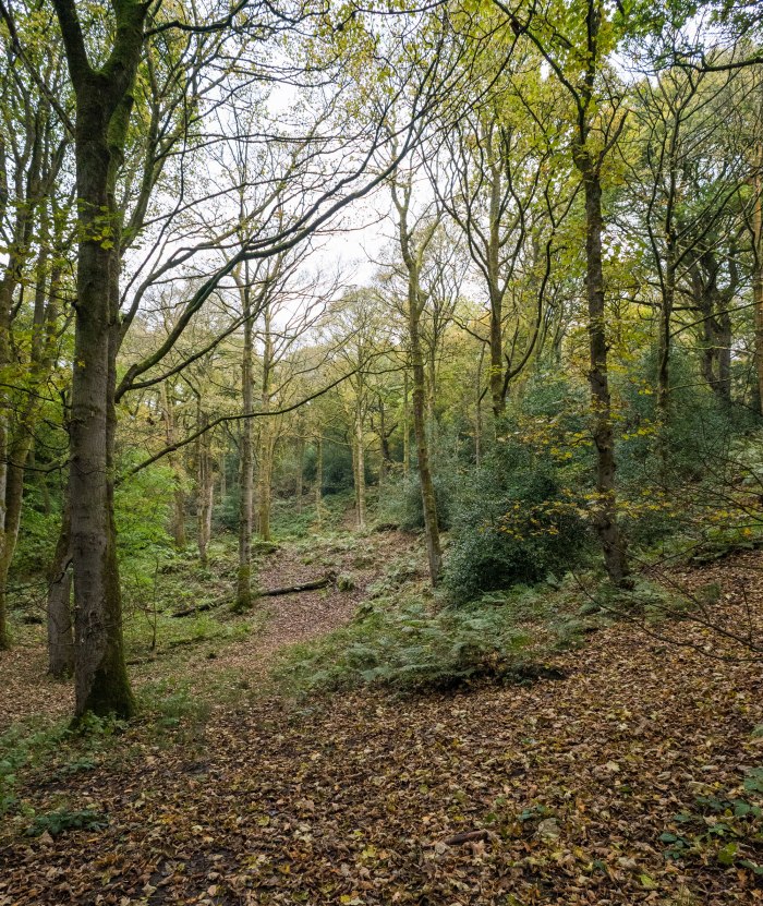 ilkley-oct-23-46-2000