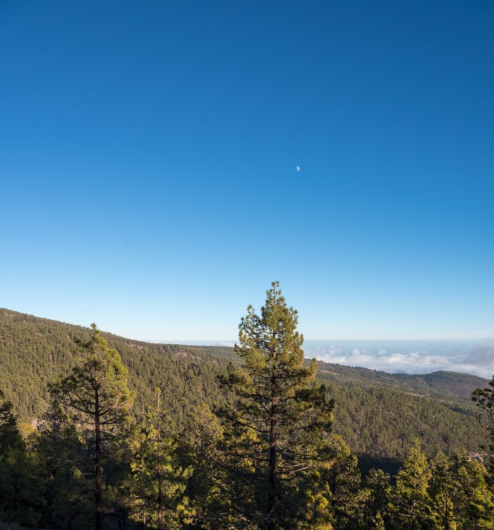 Tenerife 2000px-7109.jpg