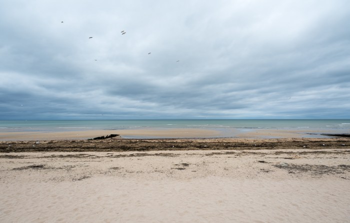 Juno Beach-3956