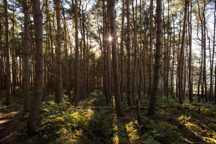 Stainburn Nov24-7719